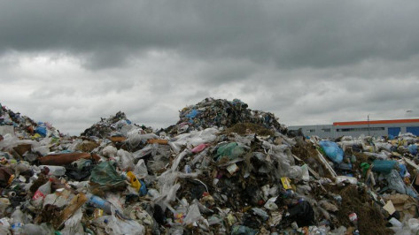 В Воронежской области на 13 законных полигонов для мусора приходится 400 нелегальных свалок