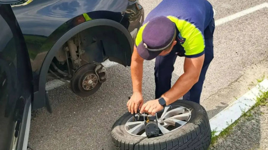В Воронежской области полицейские помогли семье с 2 детьми починить машину с 2 пробитыми колесами