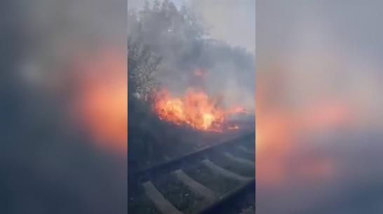 Мощный пожар возле железной дороги в Воронеже сняли на видео