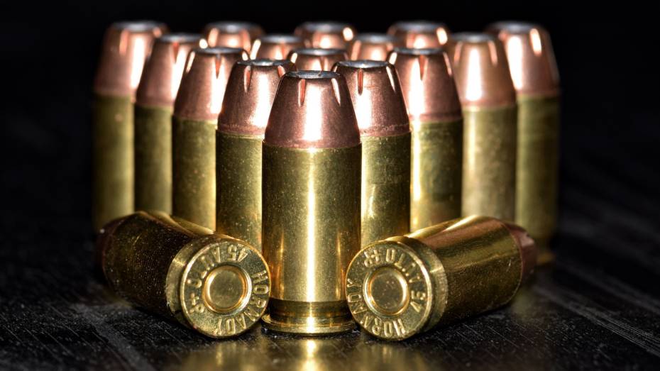 ФСБ изъяла у воронежцев 2 огнестрельных оружия и более 500 боеприпасов