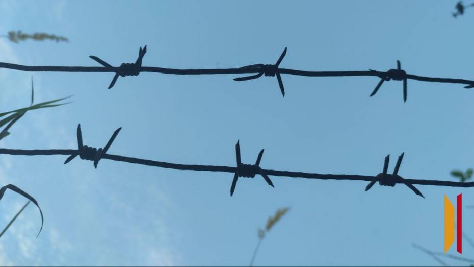 В Бобровском районе закладчика приговорили к 15 годам колонии особого режима