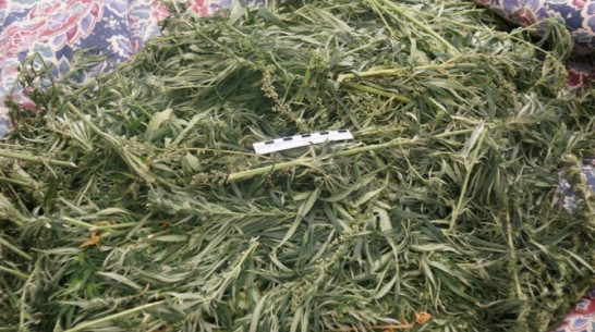 Под Воронежем полицейские нашли у сельчанина 2,5 кг марихуаны