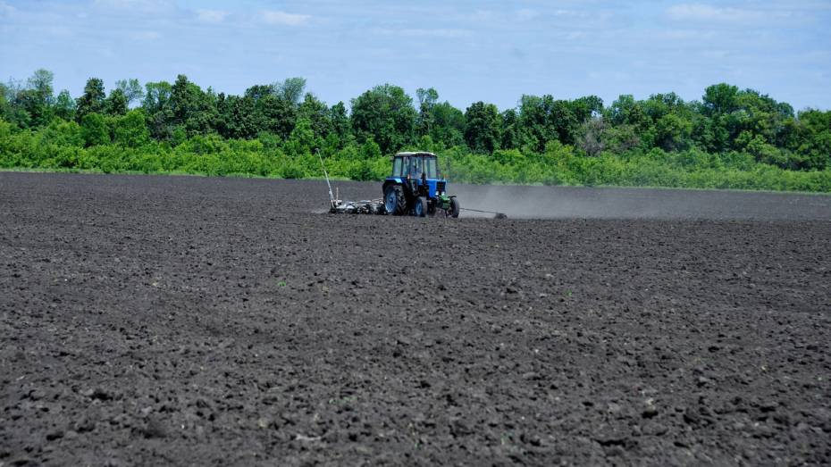 Воронежская область получит 139 млн рублей на закупку дизтоплива для аграриев