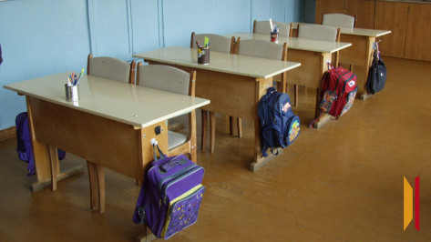 Воронежским школьникам напомнили даты каникул