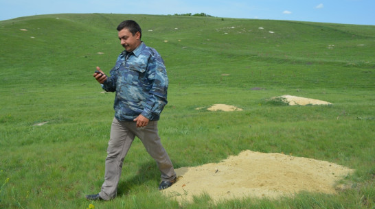 Нижнедевицкие охотники пересчитали в районе степных сурков и барсуков