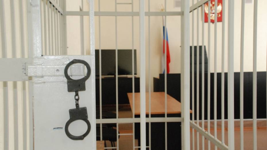 В Воронежской области избивший до смерти мать троих детей мужчина получил 9 лет тюрьмы