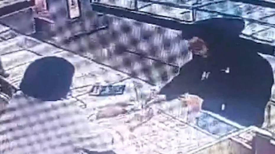 Появилось видео ограбления ювелирного салона возле памятника Славы в Воронеже