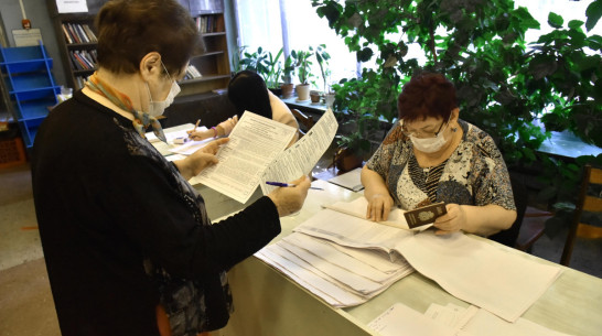 «Каждый найдет 10 минут». Молодежные лидеры и общественники позвали воронежцев на выборы