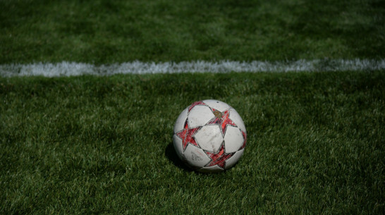 Воронежский «Факел» просмотрит бывшего игрока сборной России