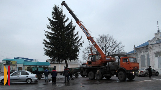 Воронежские госавтоинспекторы помогли доставить новогоднюю ель с Марса в поселок Подгоренский
