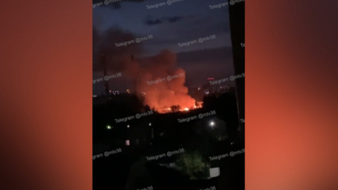 Крупный пожар возле реки Песчанка в Воронеже вечером 19 мая сняли на видео