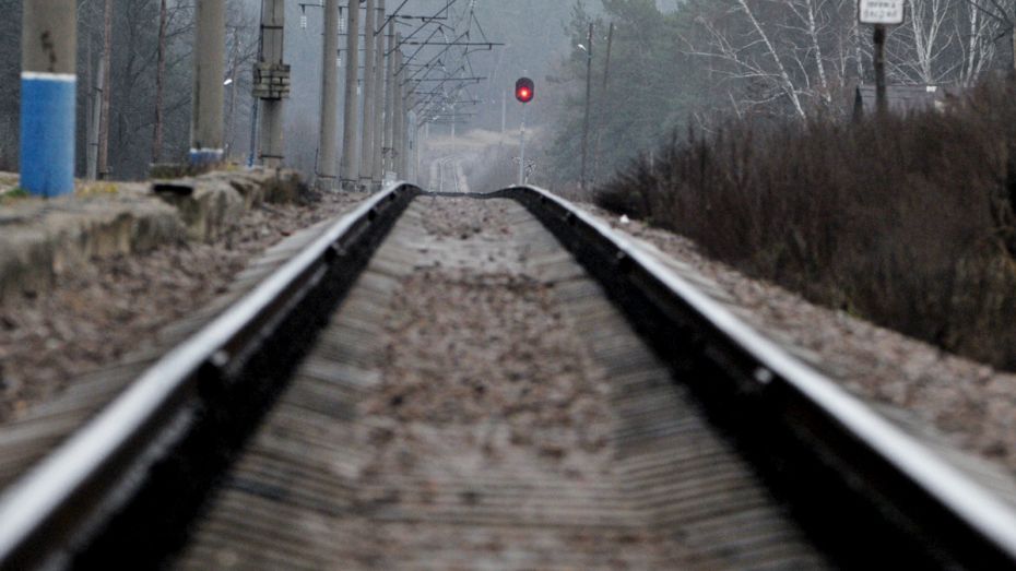 В Воронеже грузовой поезд насмерть сбил мужчину и женщину 