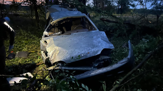 В Воронежской области водителя посадили на 7 лет за смерть 15-летнего подростка в ДТП