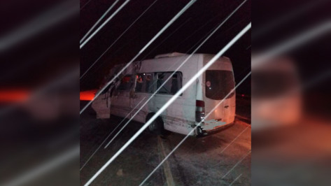 Микроавтобус с пассажирами попал в ДТП на воронежской трассе: 2 погибших