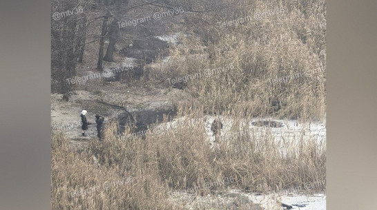 На Воронежском водохранилище дети ходят по тонкому льду