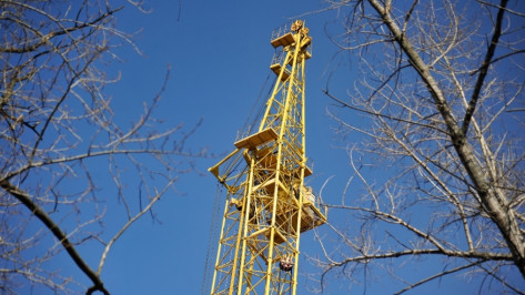 Объем ввода жилья в Воронежской области упал на 26% за год