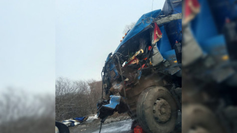 Водителя КамАЗа госпитализировали после ДТП с другим грузовиком в Воронежской области
