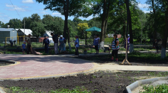 Сельский парк Нижнедевицкого района украсили клумбами
