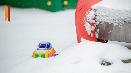 В Воронеже за ночь снежный покров достиг 3 см