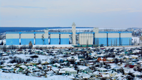 В Воронежской области директор элеватора задолжал работникам 7 млн рублей