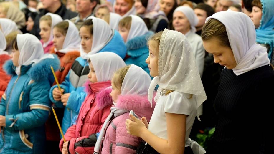 В Воронежской области спасатели проверили 209 объектов накануне Рождества