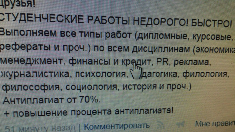 Мошенники по курсовым работам попались в Воронеже