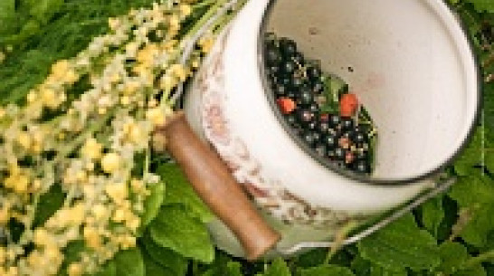 В Воронеж вернется жаркая погода