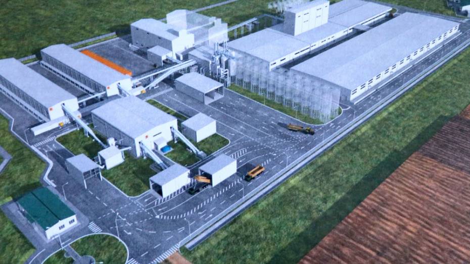 Семенной завод построят в Рамонском районе до 2024 года