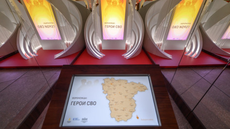 В День Героев Отечества в Воронеже открылась выставка в честь участников СВО