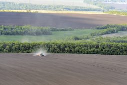 Воронежская область может получить дополнительные субсидии по льготным кредитам на развитие сельского хозяйства