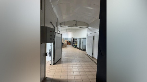 Под Воронежем на продажу выставили производство рыбных снеков за 19,5 млн рублей