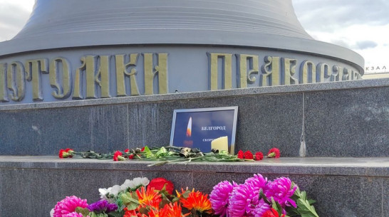 Стихийный мемориал погибшим при обстрелах белгородцам появился в Лисках
