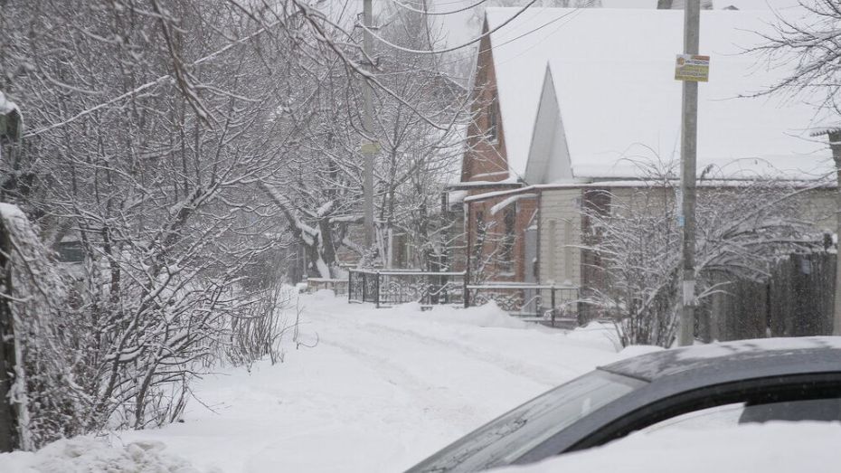 Метеорологи предупредили воронежцев о метели и снежных заносах