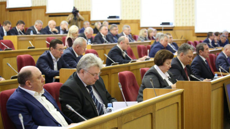 Депутаты Воронежской облдумы скорректировали бюджет региона