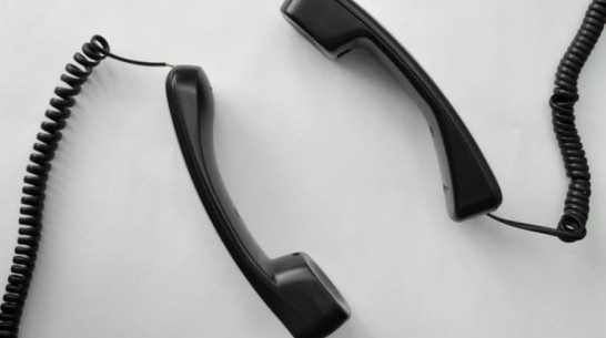 Воронежский Роспотребнадзор открыл горячую линию по профилактике клещевого энцефалита