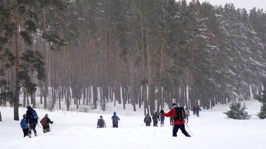 Лыжный марафон памяти Юрия Лопатина пройдет в Воронеже