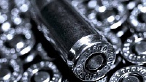 У жителя Верхнемамонского района нашли 2,5 килограмма пороха и 150 патронов