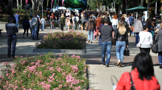 В Воронеже пройдут Дни культуры муниципальных районов 