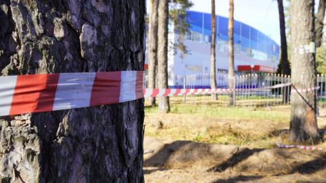 В Павловске начали готовить площадку под строительство лыжероллерной трассы