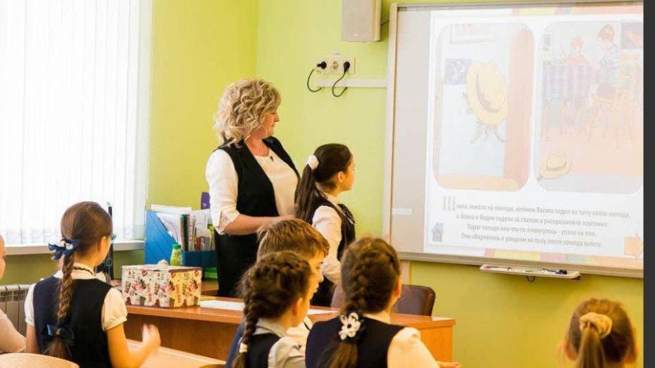 Правительство Воронежской области поддержит рублем молодых учителей сельских школ