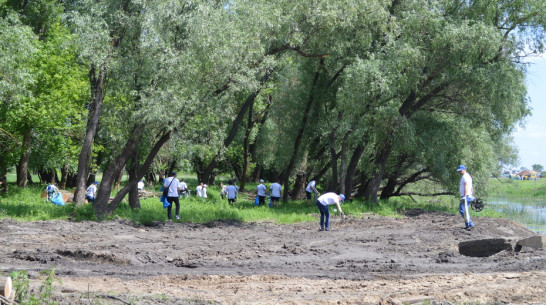 Экоакция «Чистым рекам – чистые берега» пройдет в павловском селе Большая Казинка