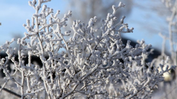 Предупреждение об аномальных морозах продлили в Воронежской области до 10 января