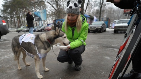В воронежской Лыжне России «участвовала» собака по кличке Ума