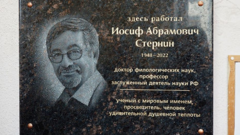 В Воронеже пройдет презентация книги воспоминаний, посвященной филологу Иосифу Стернину