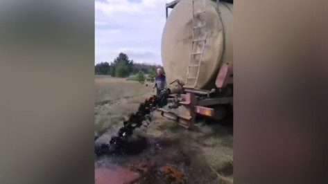 «Черная жижа с запахом яда» нанесла ущерб на 8 млн рублей в Воронежской области