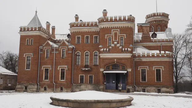 Под Воронежем начали поиск подрядчика для реставрации дворца принцессы Ольденбургской
