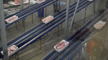 Противовоспалительные препараты нашли в говядине воронежского мясокомбината