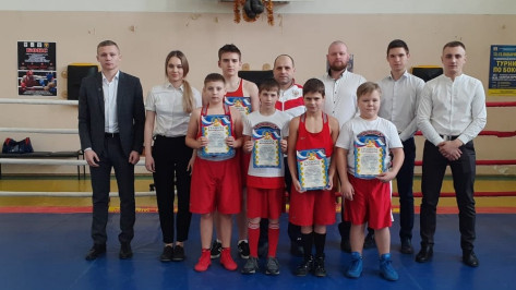 Грибановские боксеры выиграли 9 золотых медалей на межрегиональных соревнованиях