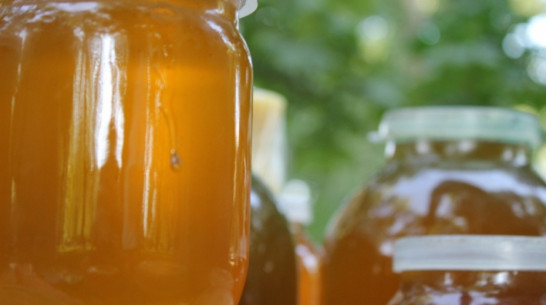 Немецкие министры заинтересовались воронежскими глазированными сырками и медом