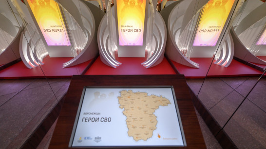 В День Героев Отечества в Воронеже открылась выставка в честь участников СВО
